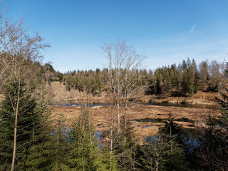 View on peat island on the Nonnenmattweiher lake in the Southern Black Forest in Germany