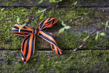 Traditional Saint George ribbon on moss background symbol of Victory Day May 9 selective focus