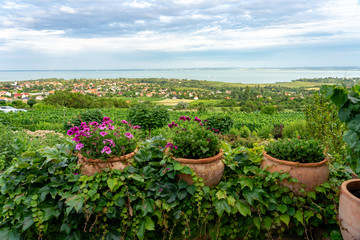 Nice vineyard farm over the Lake Balaton in Hungary with flowers