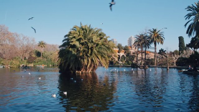 4K Parc de la Ciutadella boating lake, Barcelona, water in city public park slow motion