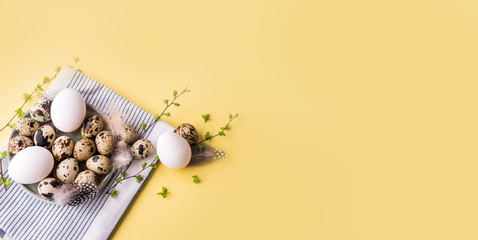 Overquail eggs with young sprigs of green plants on a light background.