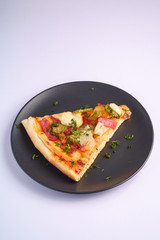 Pizza slice with pepperoni, salami, melted mozzarella cheese, pickles and dill in black plate on white background, angle view