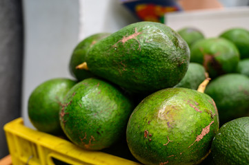 Fresh ripe green avocados in box on farmers market in Spain