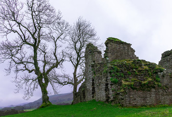 ruins of old castle