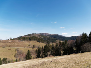 Black-Forest landscape in South Germany. Around the lake of Nonnenmattweiher, beautiful hiking place with view on Belchen Massif