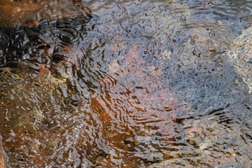 Surface texture of water in a stream