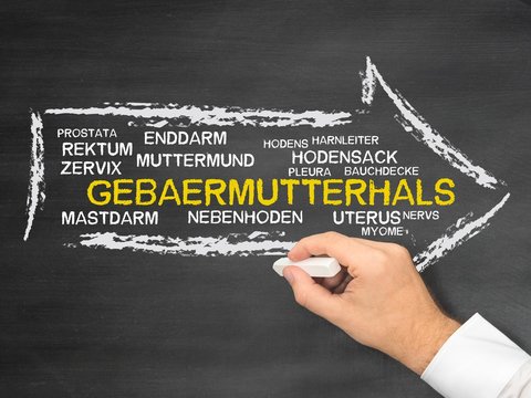 Geb�rmutterhals