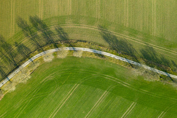 Aerial view on a asphalt road separated two cultivated fields. Top view on a motorway between farmers lands