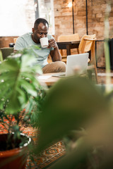 Afro American man drinking coffee and using laptop