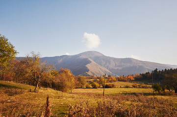 Yellow landscape on the autumn sunny day with mountain in the background
