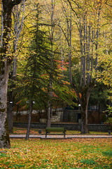Naklejka premium Walking path in the national park