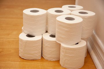 several rolls of toilet paper