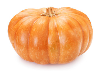 Fresh pumpkin on white background