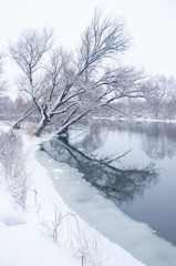 Obraz na płótnie Canvas winter river