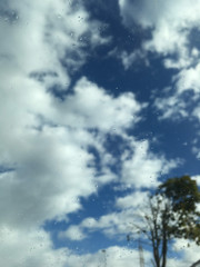 Cloudy sky seen throught a wet glass