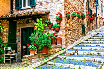 Fototapeta na wymiar Charming floral streets of old traditional villages in Italy. Casperia, Rieti province