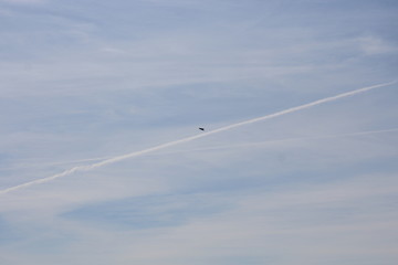 airplane in the sky