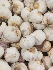 Garlic Cloves and Bulb in vintage wooden bowl.White garlic pile texture. Fresh garlic on market table closeup photo,