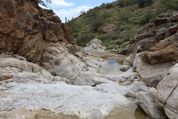Fototapeta na wymiar river in canyon