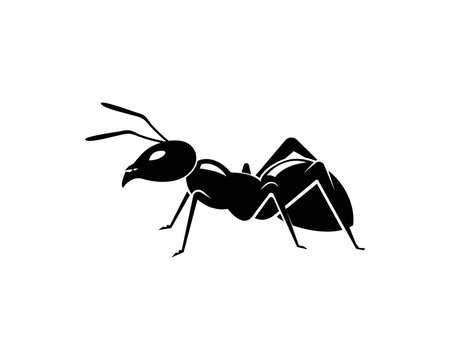 Ant Logo template vector illustration