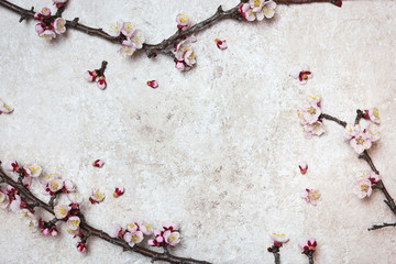 Spring blossom background