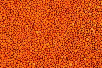 Traditional Turkish Domestic Red Lentil Background,flat layout