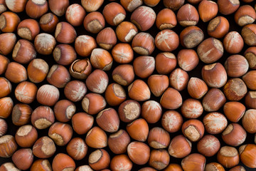Close-up taken of Shelled Hazelnuts Background,flat layout