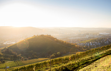 Blick in den Neckarpark