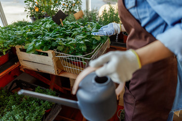 Caucasian woman botanist examining seedlings in flowerpots