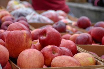 apples farmers market 
