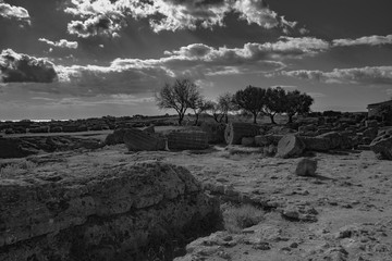 Greek Temple in Sicily