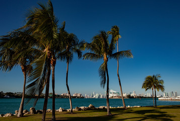 Miami Skyline and Port of Miami.