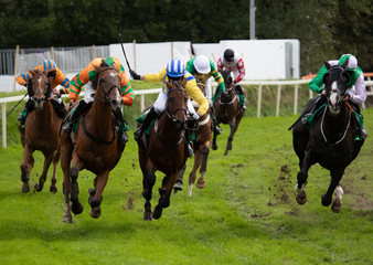 Intence horse racing action on the  track, race horses and jockeys competing for position on the final turn of the race track