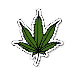 marijuana leaf doodle icon, vector illustration