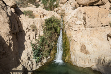 Ein Gedi National Park at Southern Israel