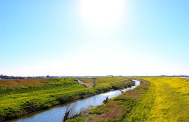 なのはな　川　巴波川　杤木　風景