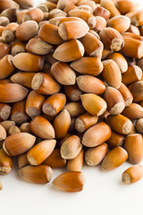Ripe,new crop hazelnuts heap on white background with copy space,vertical image