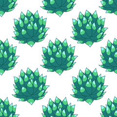 succulent seamless doodle pattern, vector illustration