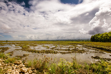 landscape with lake and blue sky