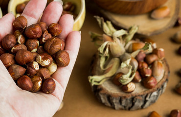 Turkish new crop hazelnut from Black Sea Region in the handful with blurred hazelnuts background.