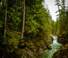 Fototapeta na wymiar Little Qualicum Falls Provincial Park, Nanaimo, British Colombia, Canada 