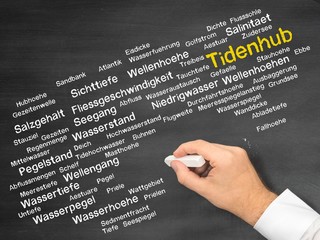 Tidenhub