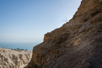 Ein Gedi National Park at Southern Israel