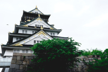 Osaka castle, wall and trees, Japan