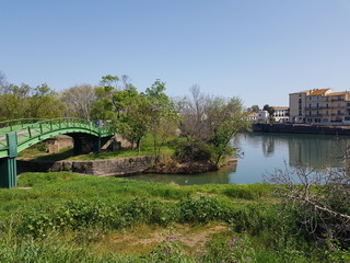 bridge over the river
