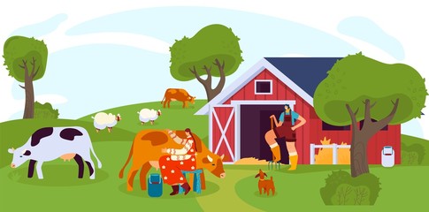 Woman milking cow on farm, people work on ranch, vector illustration. Farmland cattle grazing on summer field, cows and sheep. Cheerful female farmers, countryside lifestyle, domestic livestock ranch