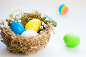 Colorful easter eggs in a bird 's nest on a blue background.