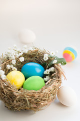Colorful easter eggs in a bird 's nest on a blue background.