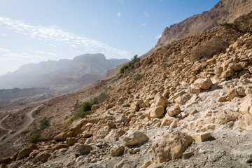 Ein Gedi National Park at Southern Israel