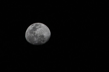 LUNA